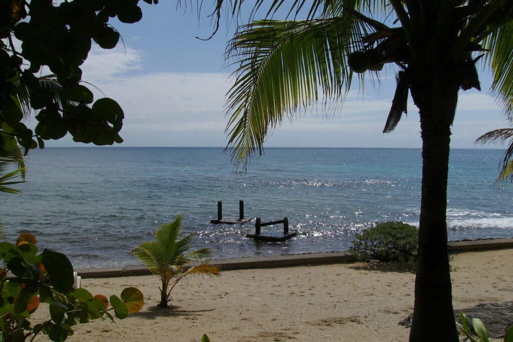 Tranquil beach scene in Utila, Honduras, with palm trees, golden sand, and a calm Caribbean sea view.