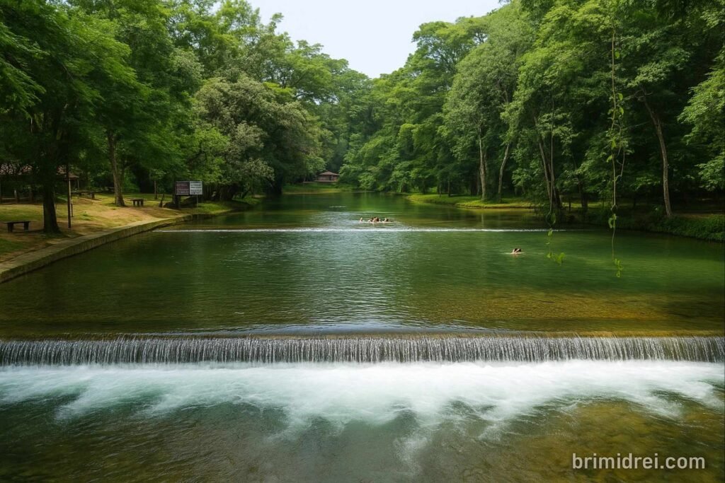 Serene natural pool at Pulhapanzak surrounded by lush greenery, with people swimming and relaxing under the forest canopy